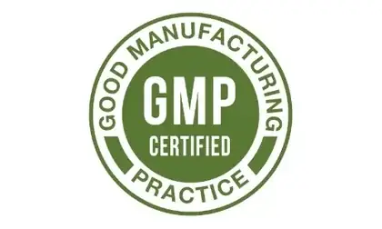 GMP manufacturing